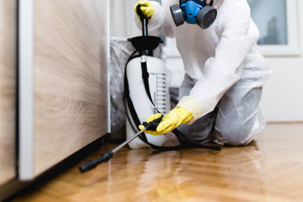 Best Exterminator Services  in Canyon Day, AZ