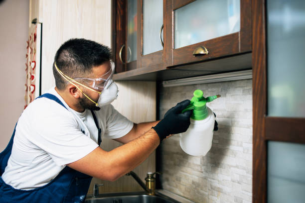 Best Best Pest Control Companies  in Canyon Day, AZ