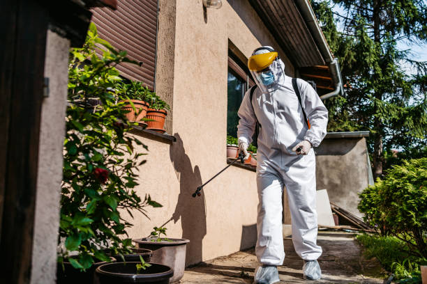 Best Wasp Removal Services  in Canyon Day, AZ