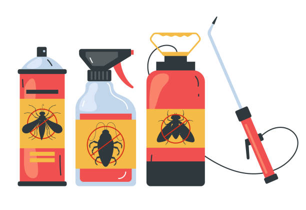 Best Insect Control  in Canyon Day, AZ