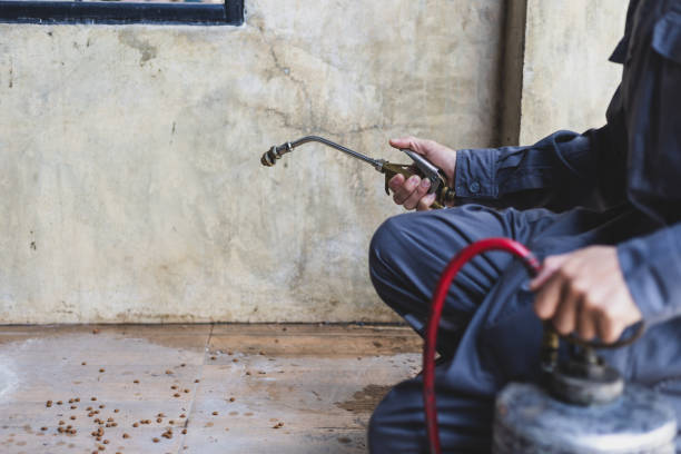 Best Pest Control for Restaurants  in Canyon Day, AZ